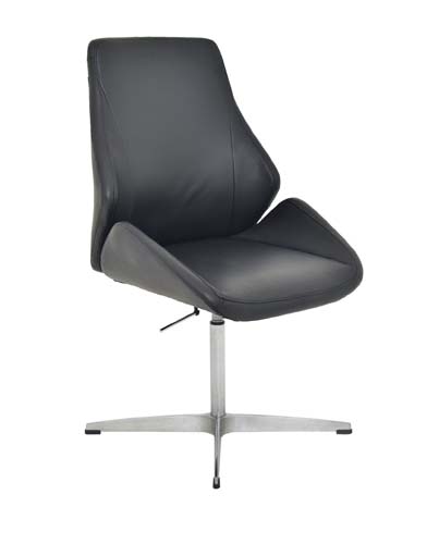 Executive Office Chair