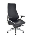 Executive Office Chair