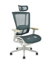 Executive Office Chair
