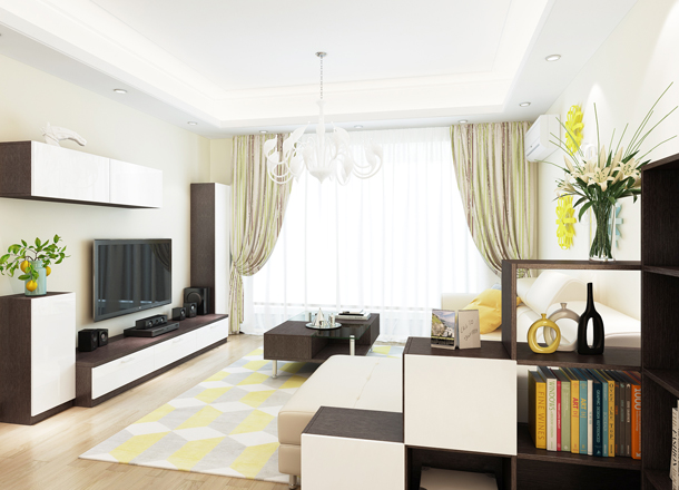 Modern minimalist living room